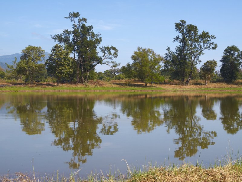 Champasak, Wat Phu